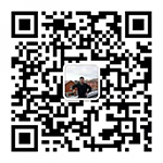 金狮贵宾会·宾至如归-尊贵显赫